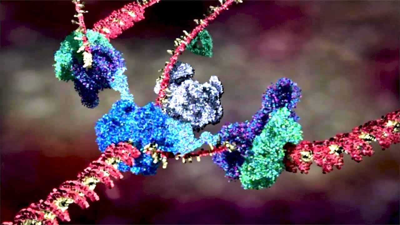 Molecular Machines